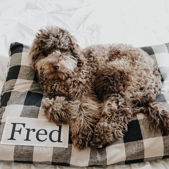 Plaid Dog Bed Cover - Dog Beds - Personalized Dog Bed - Picture 5 of 5